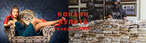 сатива Аркадак